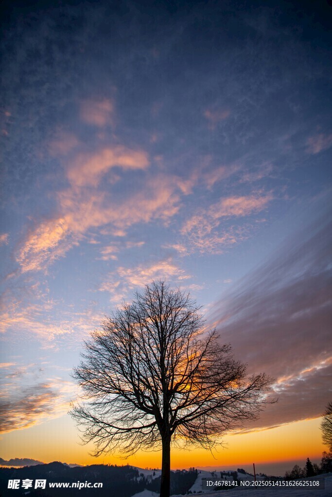 夕阳下的孤树与绚烂天空