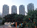 都市风光