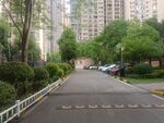 小区内整洁的道路景观