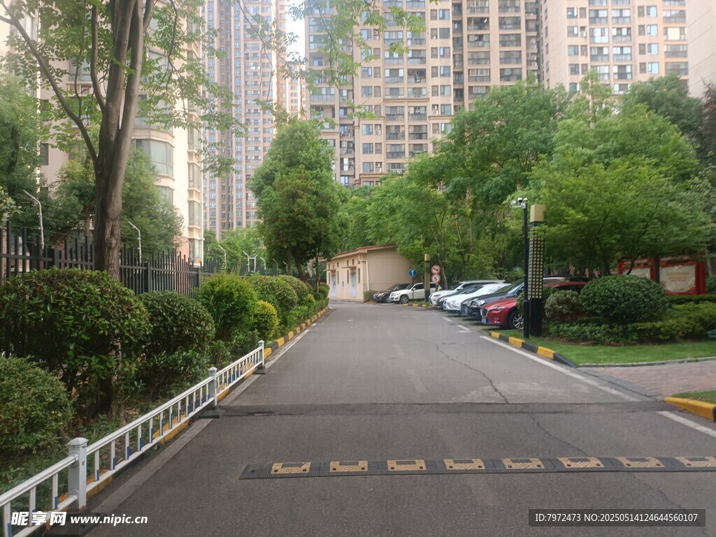 小区内整洁的道路景观