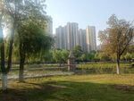 城市公园中的自然景致