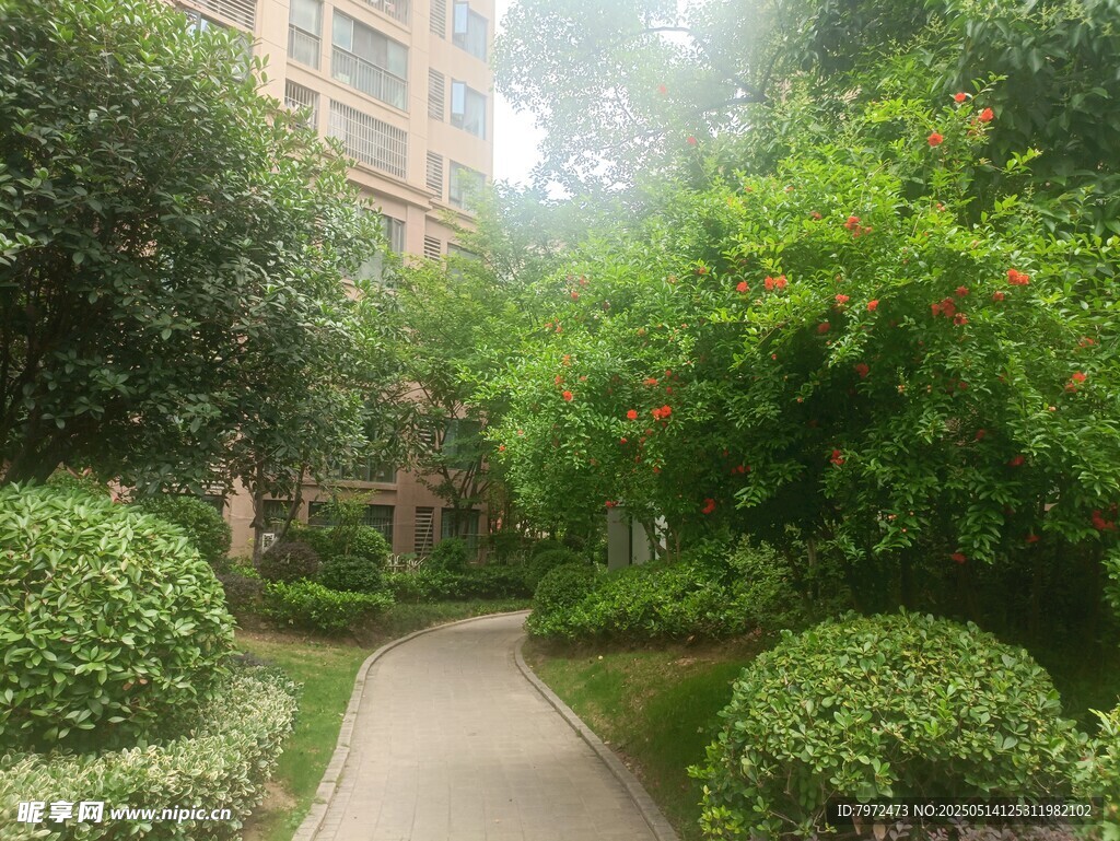 小区内绿意盎然的幽静小径