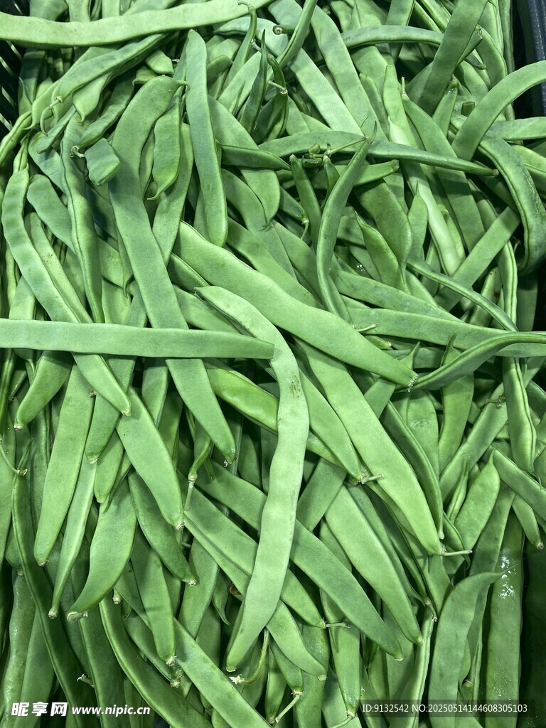 四季豆 扁芸豆