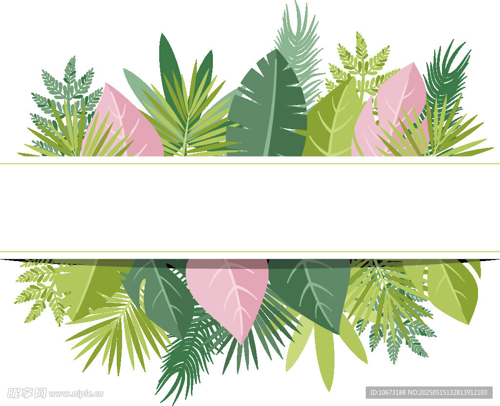 热带植物边框装饰图案
