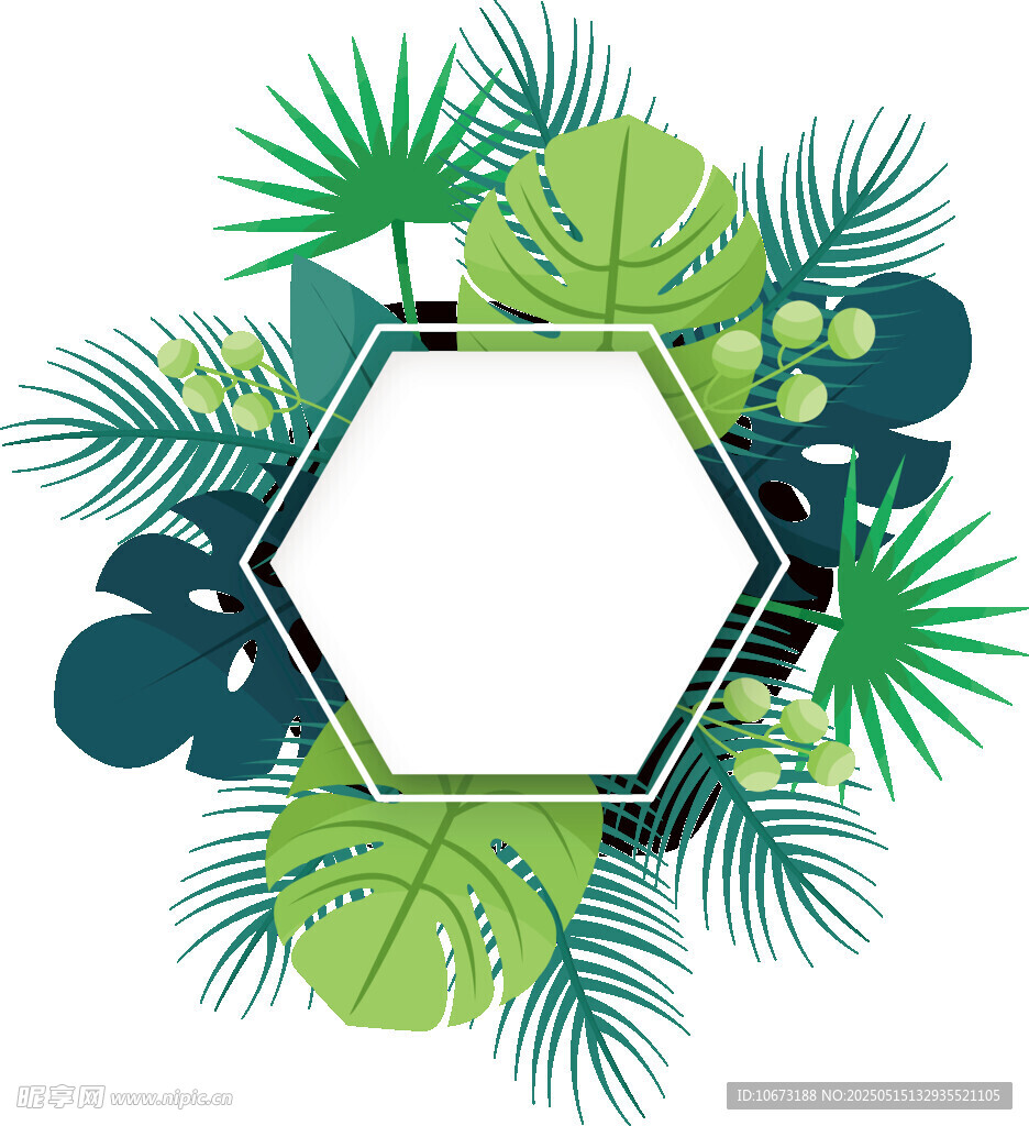 热带植物六边形边框图案