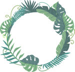 绿叶环绕的圆形植物边框