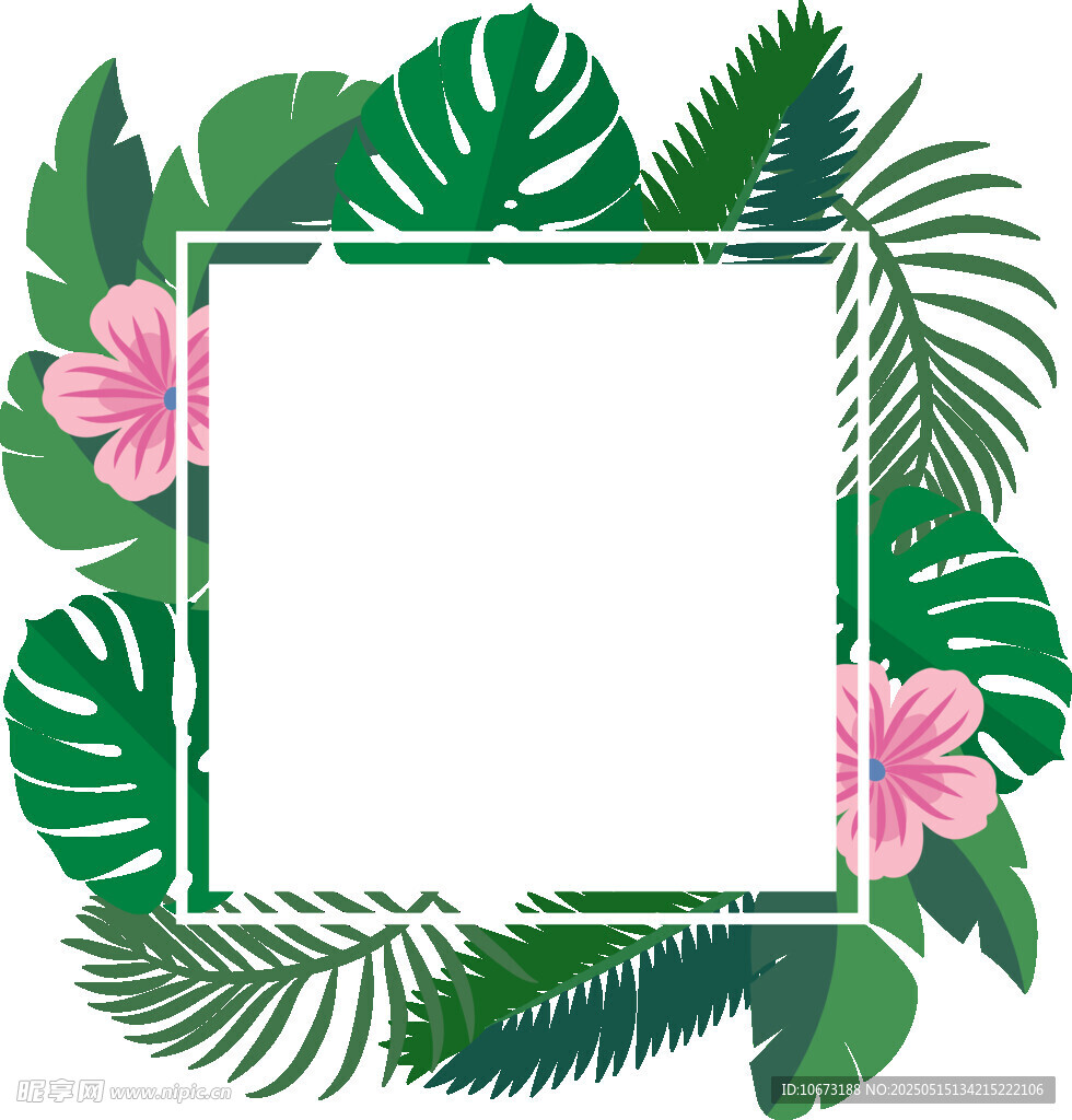 热带植物花卉边框模板