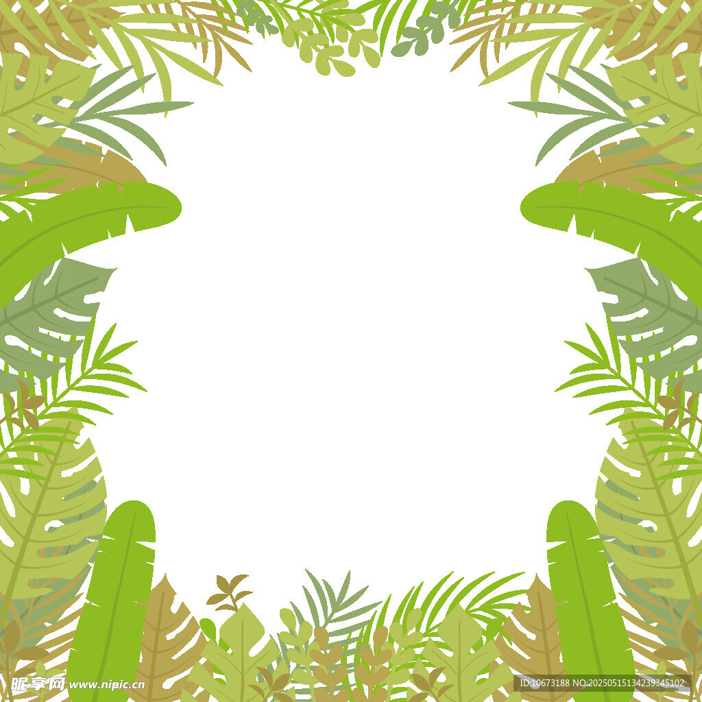 热带植物环绕的空白背景