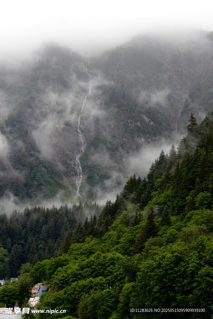 云雾缭绕的山林美景