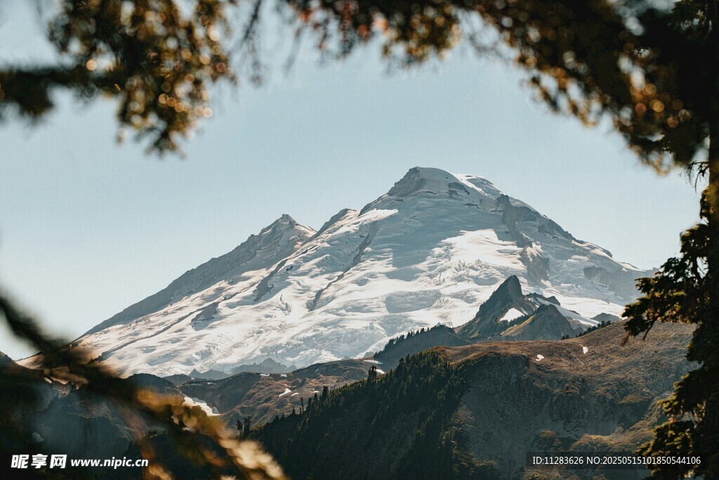 巍峨雪山与葱郁林木景观