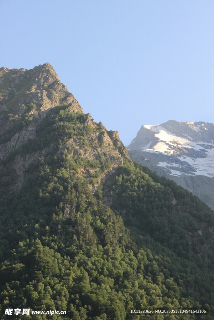 青山覆绿植被繁茂的山峰