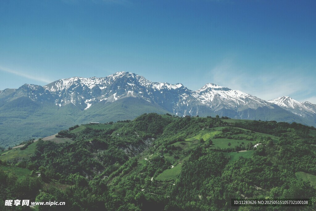 雪山下的翠绿山林