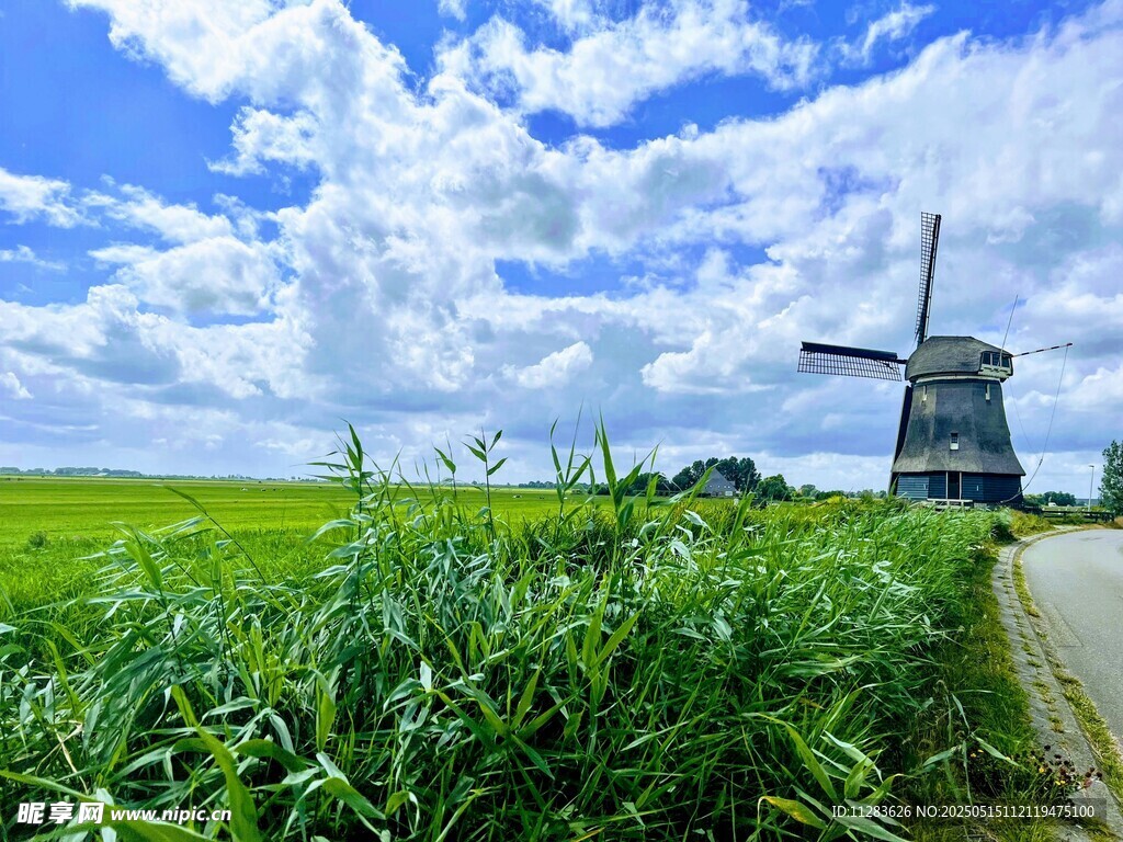 荷兰田园风车美景