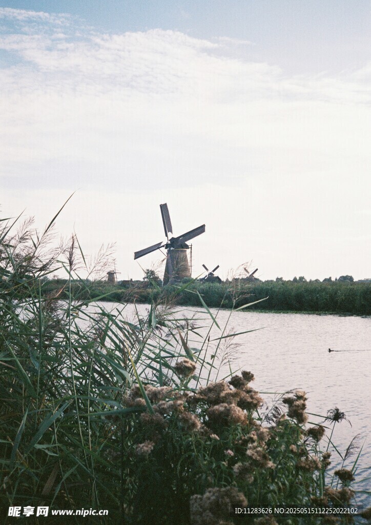 河畔风车风景