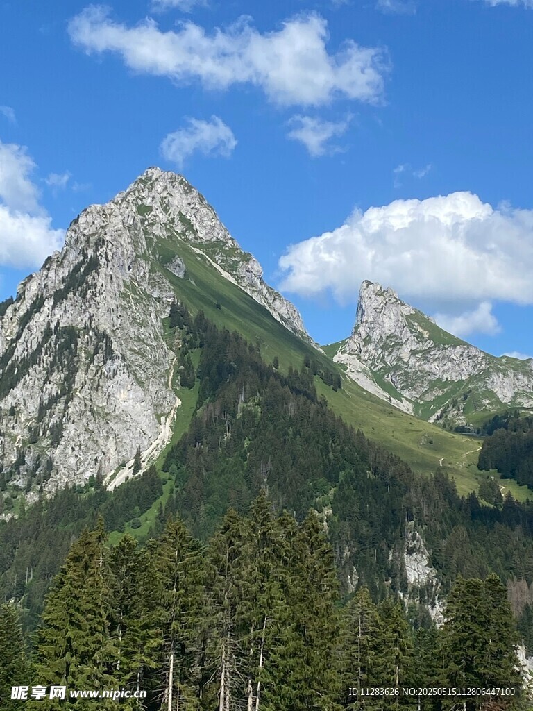 壮丽山景与葱郁森林