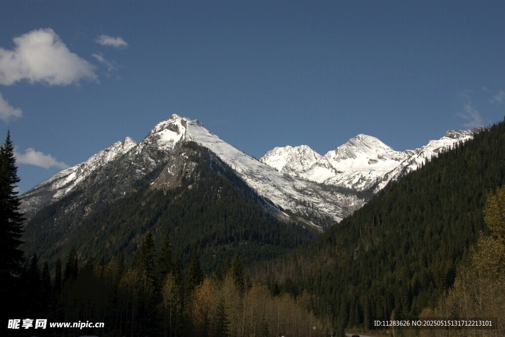 壮丽雪山与森林景观