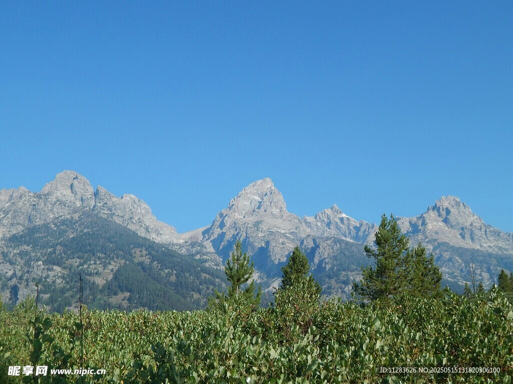 壮丽山景与葱郁植被