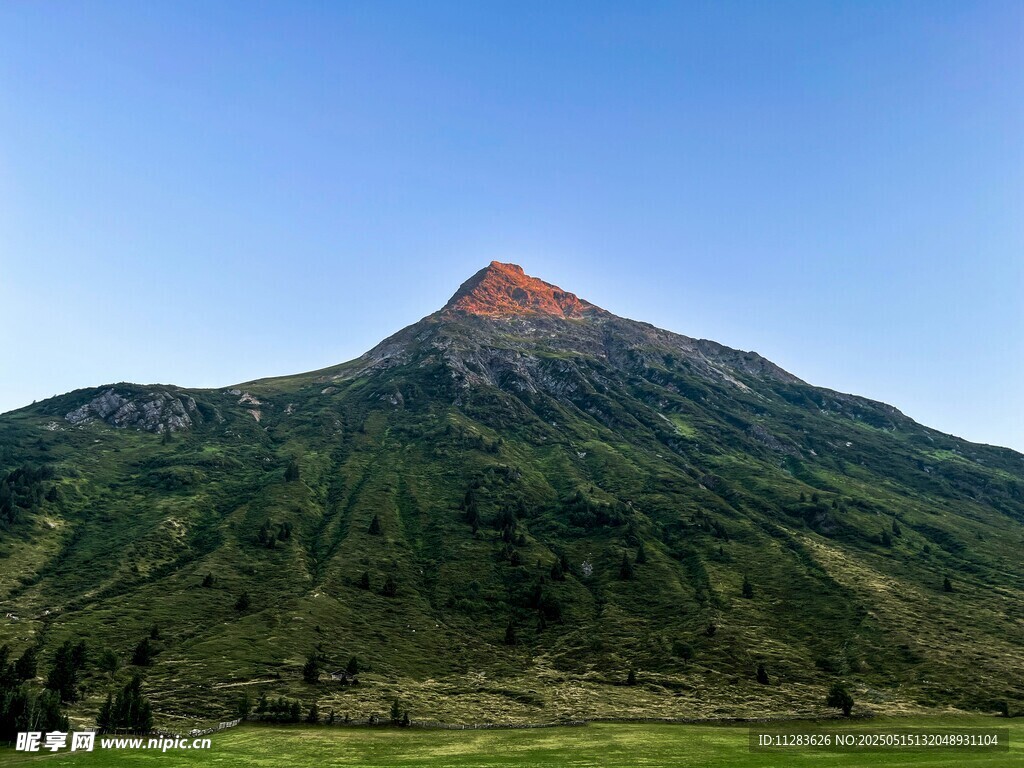 巍峨青山绿意浓