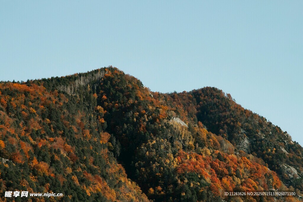 秋日斑斓山峦美景