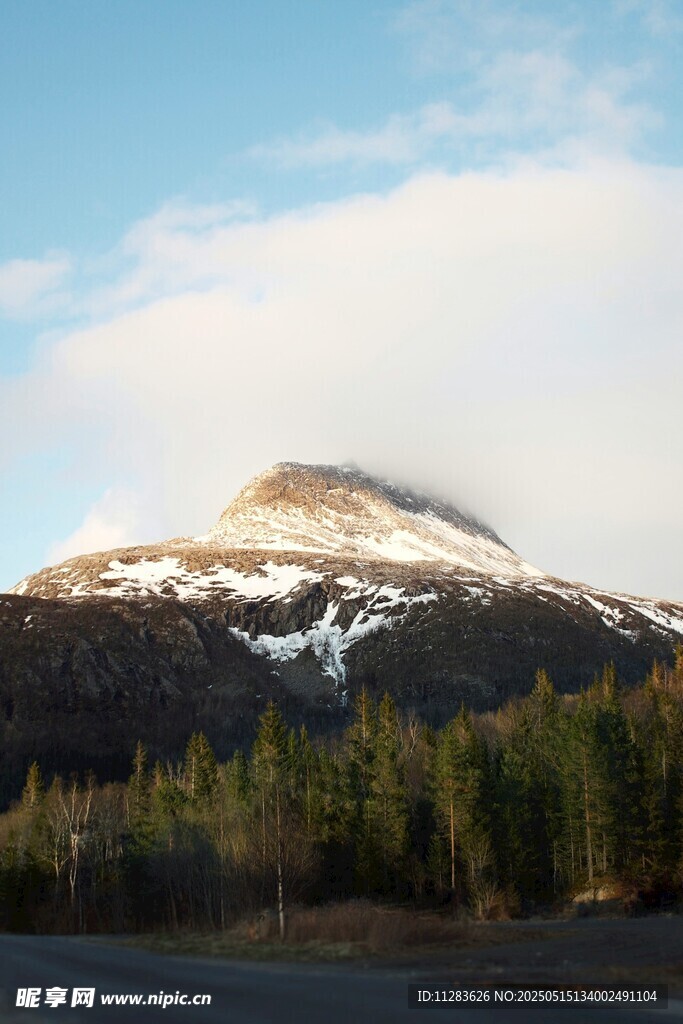 雪山下的森林美景