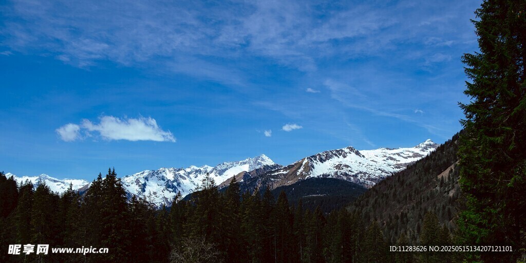 雪山森林蓝天美景