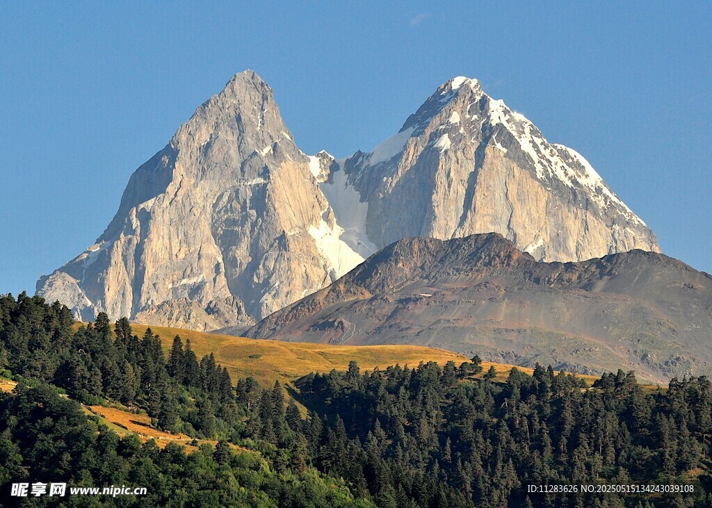 巍峨雪山下的葱郁山林