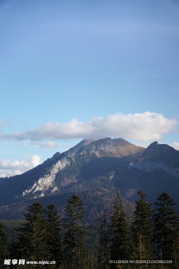 巍峨山峦与葱郁林木景观