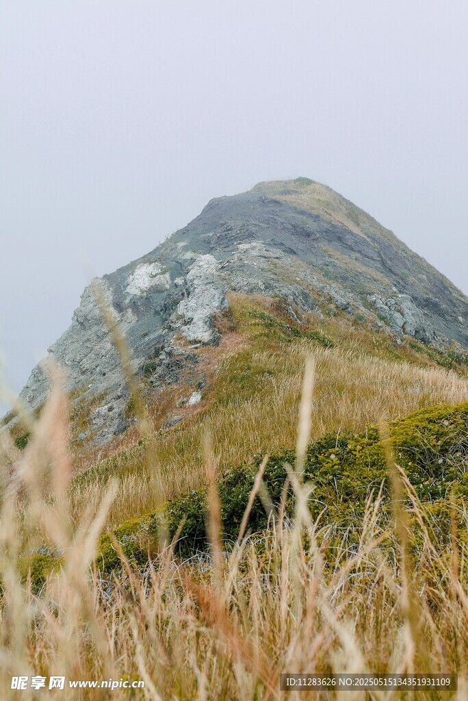 山间草景中的巍峨山峰