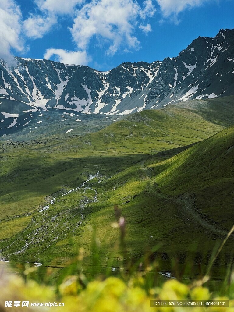 雪峰与绿野繁花
