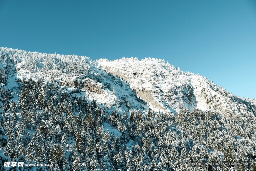 雪覆山林的壮美山景