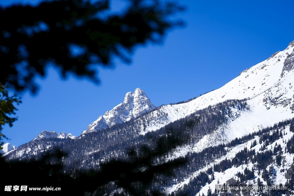 雪山美景