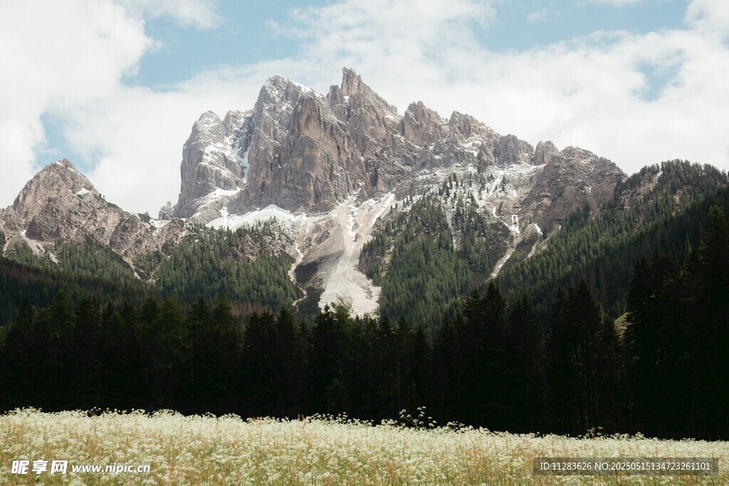 壮丽雪山下的广袤草地
