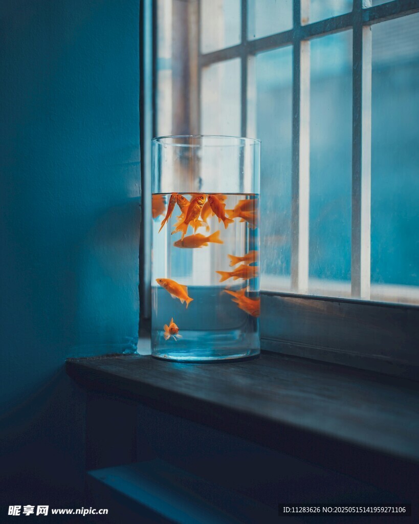 窗边玻璃杯中的灵动金鱼