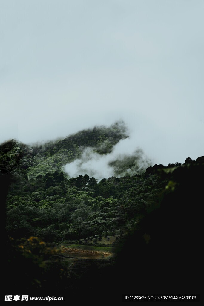 云雾缭绕的山间美景
