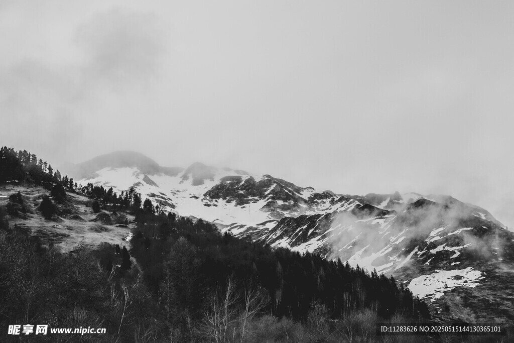 雪山森林景观