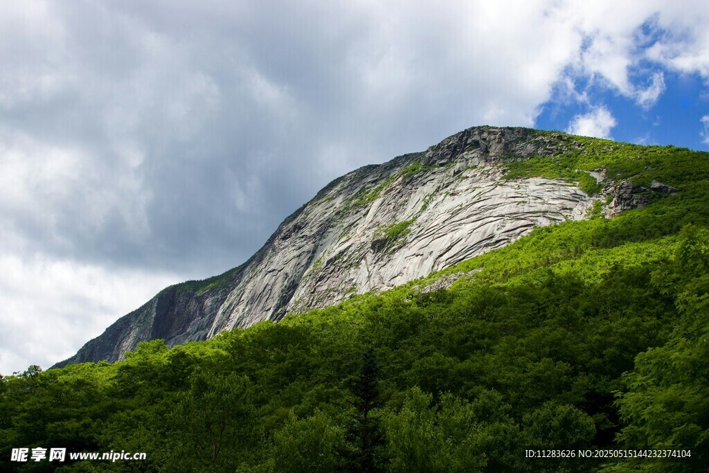 青山巍峨绿意浓