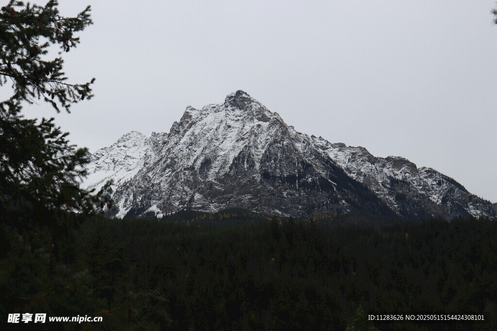 巍峨雪山与葱郁森林
