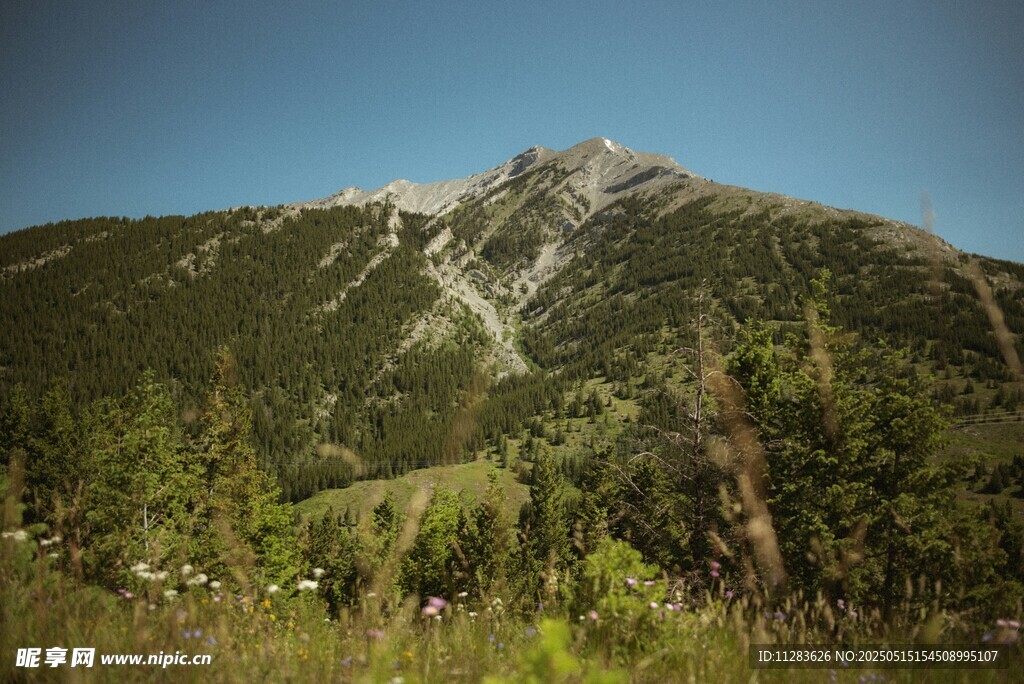 青山翠谷间的秀丽山峰