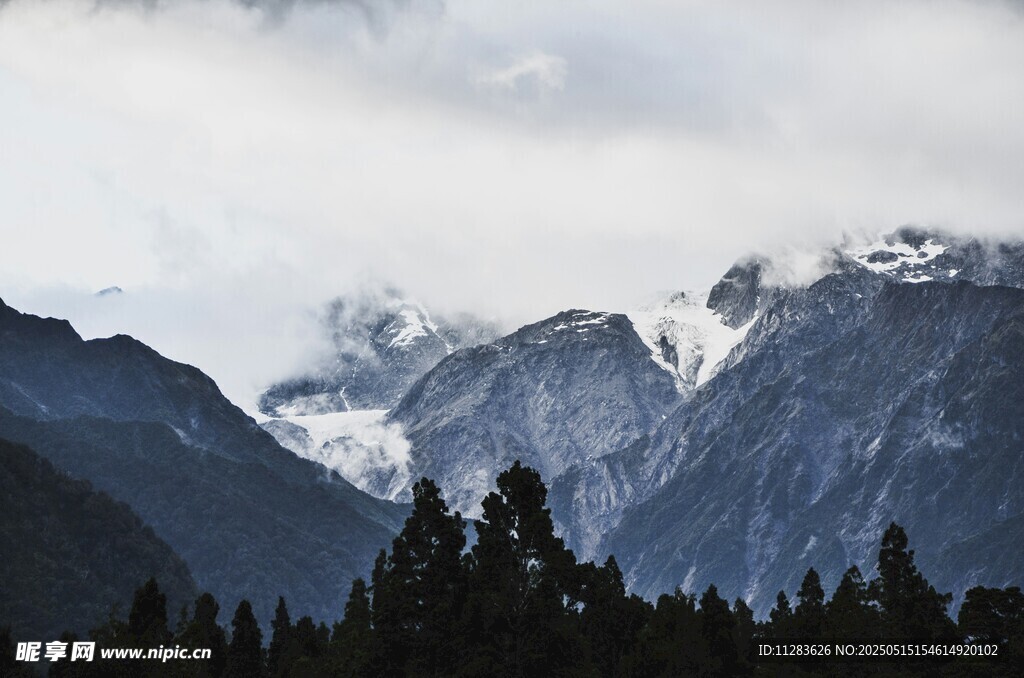壮丽雪山与森林景观