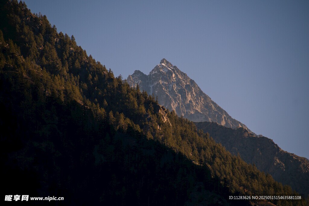 巍峨山峰与茂密山林