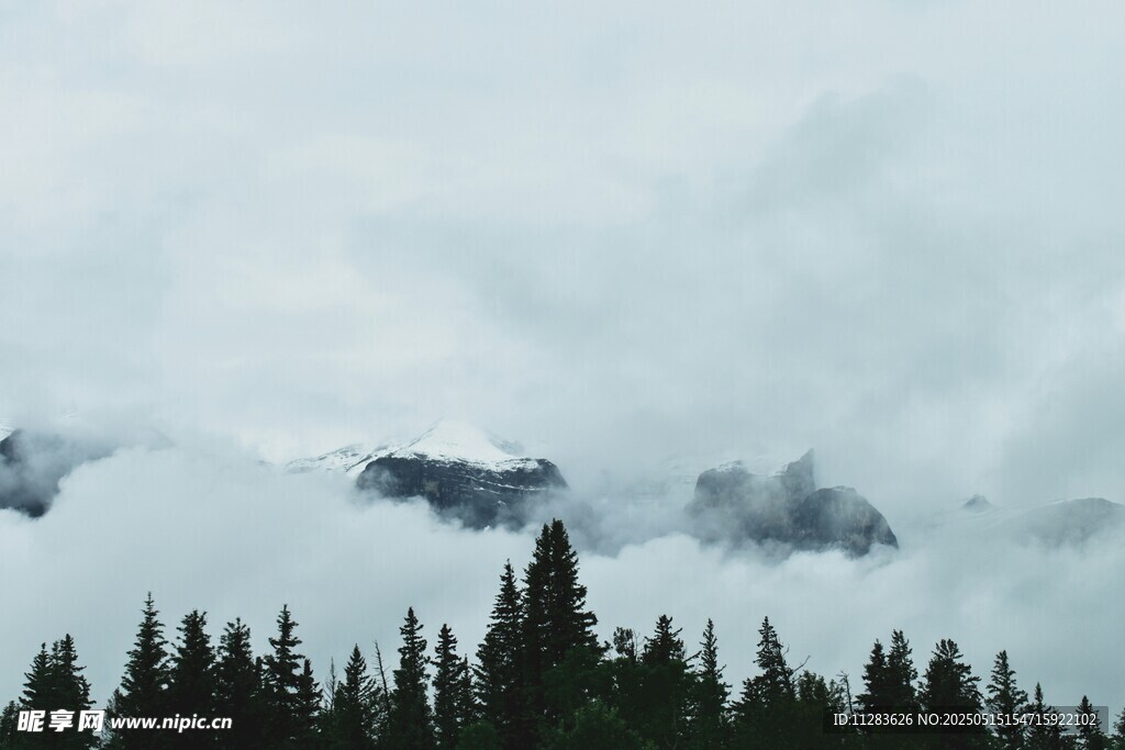 云雾缭绕的山林景观