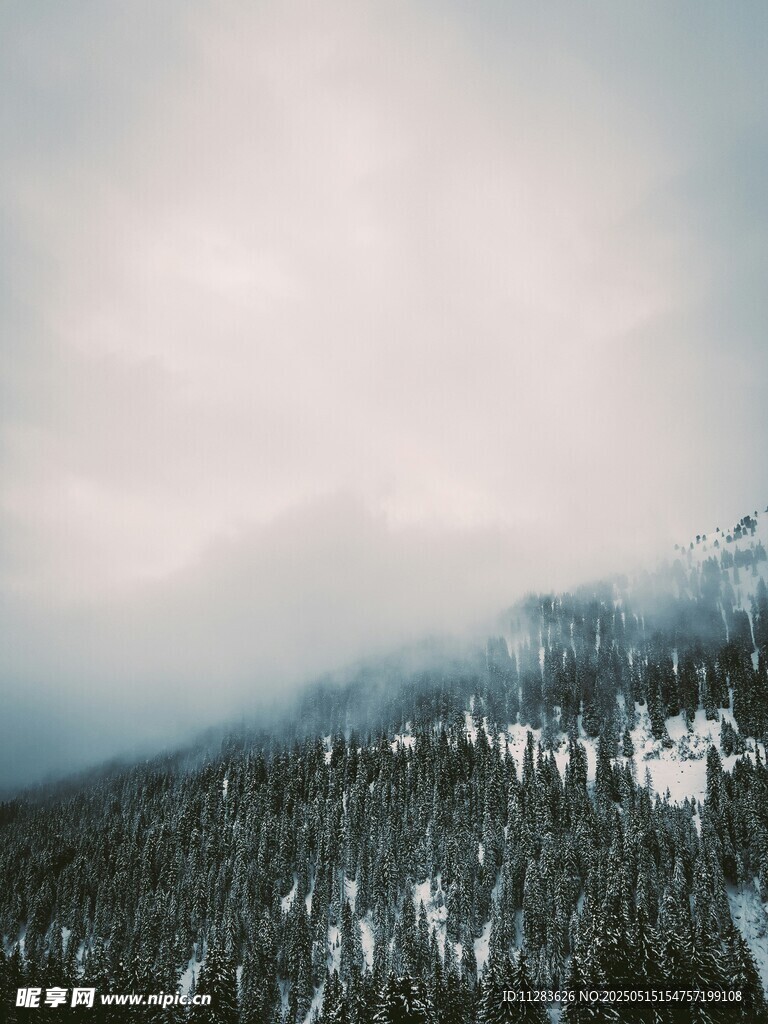 云雾缭绕的山林雪景