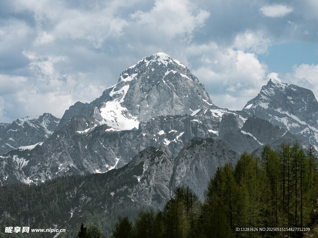 壮丽雪山与葱郁森林景观