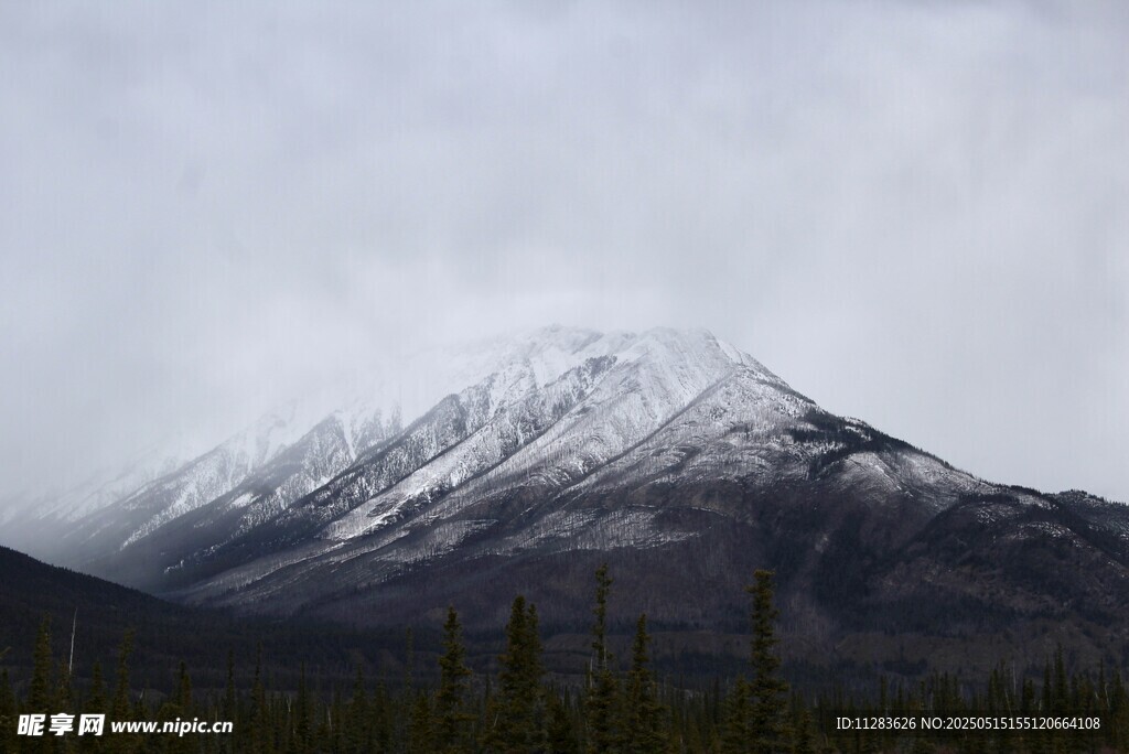 雪山森林景观