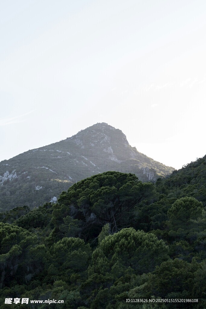 山林间的巍峨山峰