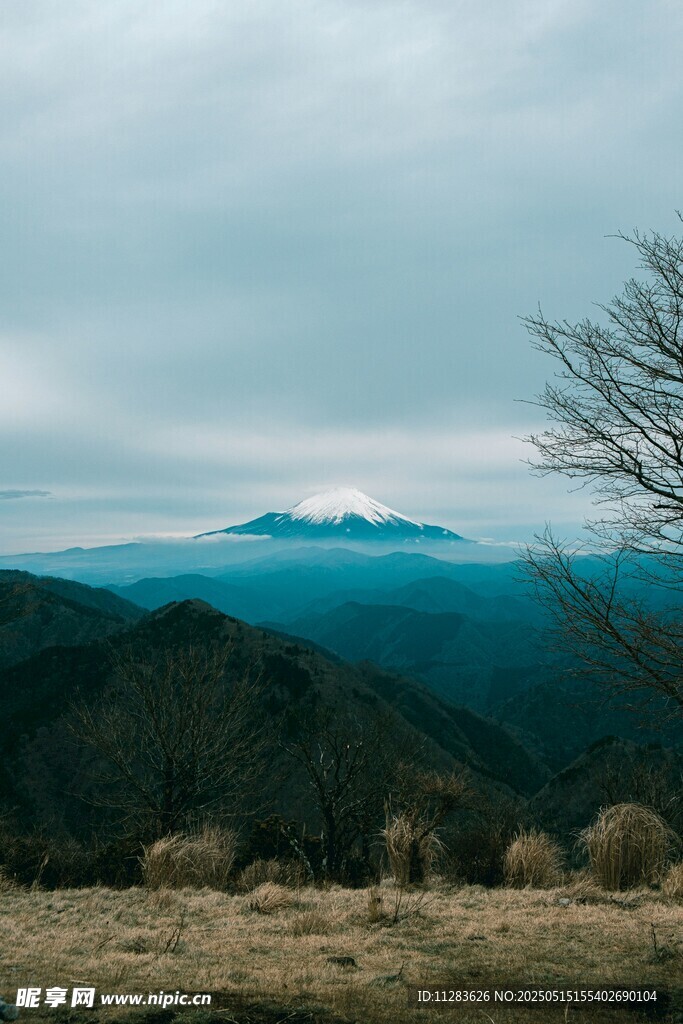 远山云雾中的孤树景观