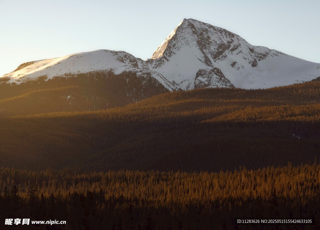 雪山夕照下的壮美山林
