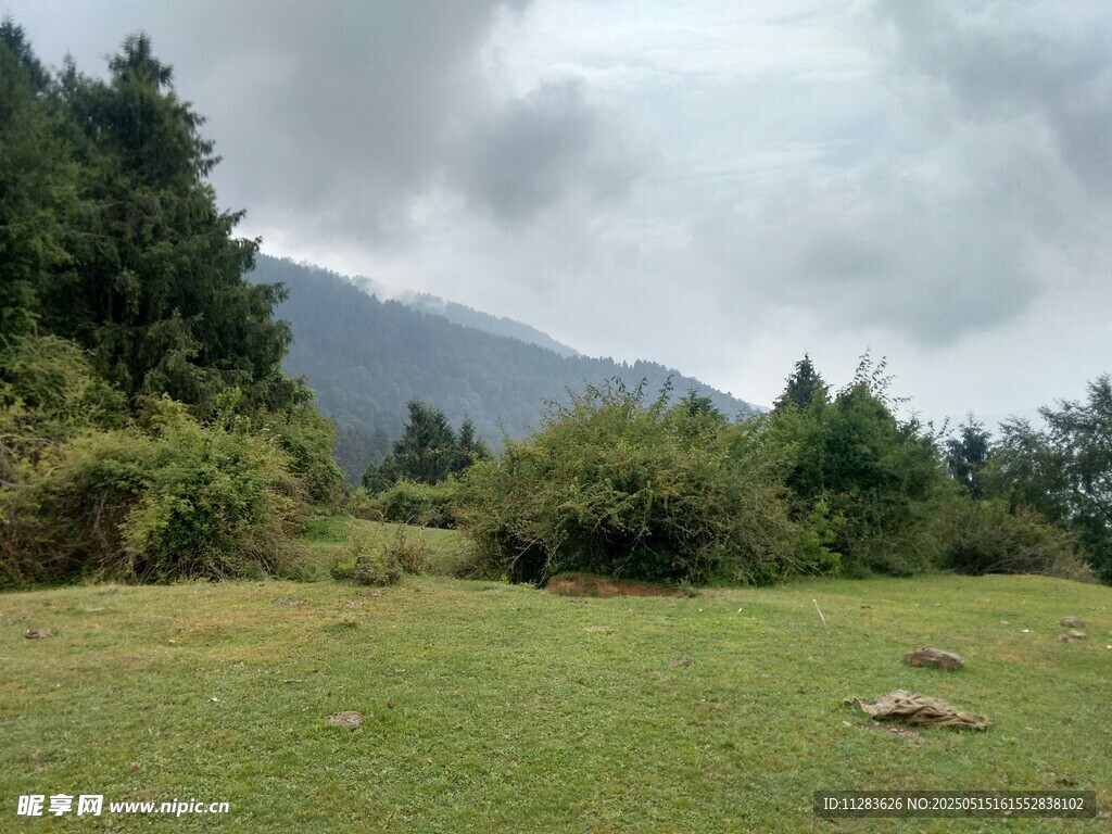 山间绿野风景