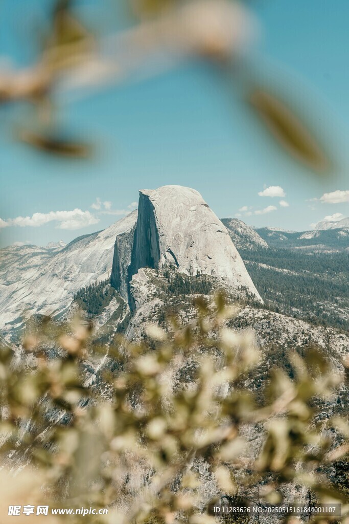 巍峨山峰与前景绿植景观