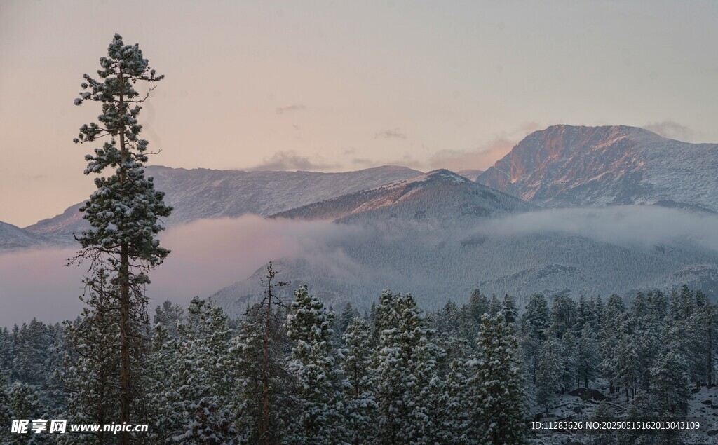 雪后山林与远处山峦美景